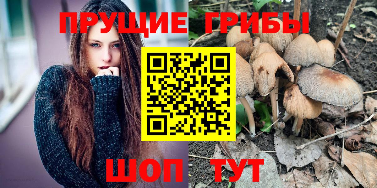Долгопрудный  Галлюциногенные грибы ЛСД  Вход с VPN  Галлюциногенные грибы Psilocybine cubensis 